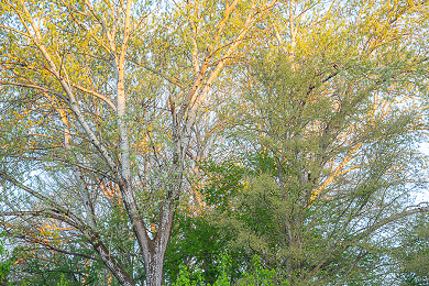 Vivid wetlands - New gallery
