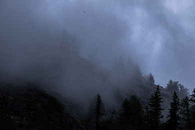 Mountains of diversity - New gallery