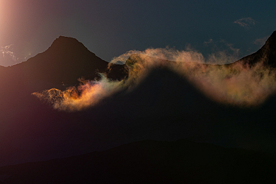 Gentle wilderness - New gallery