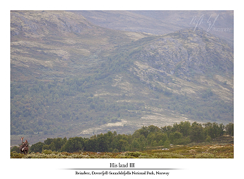 The haunted – Norway part VII