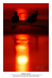 Beside Dolphins part II - New Zealand part XXI