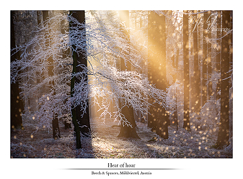 Nature Photographer of the Year 2021