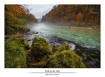 Days of yellow part I