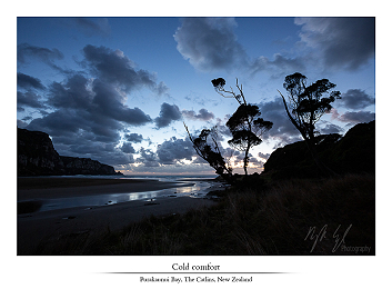 Salty & fresh part I - New Zealand part XVIII