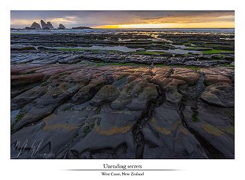 Tidal treasures - New Zealand part XXV