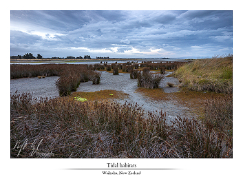 Soft side part II - New Zealand part XIV