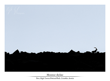 Altitude encounters part I