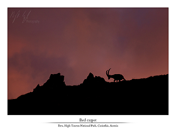 Montane moments II