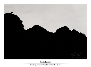Montane moments I