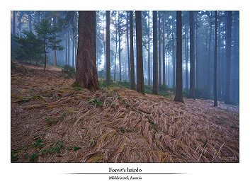 Autumn beat part I