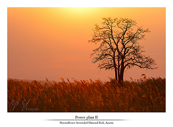 Pannonian spring impressions