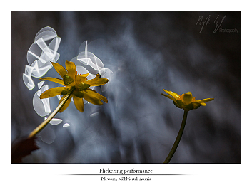 Liquid souls part II