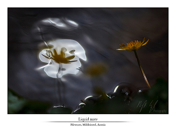 Liquid souls part I