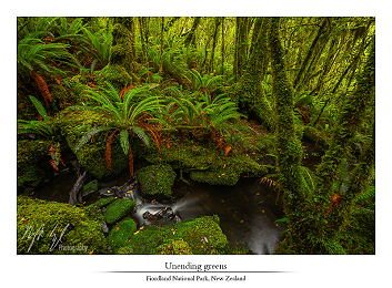 Fairy lands part I - New Zealand part VII