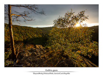 Cozy canyon part IV