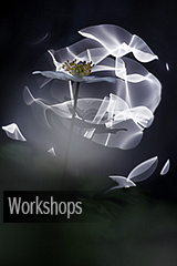 Workshops