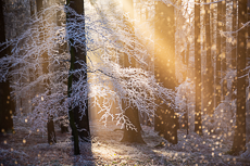 Meine Workshops