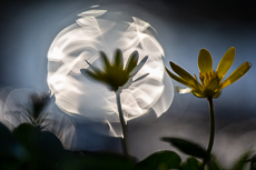 Meine Workshops