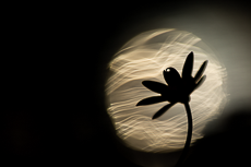 Meine Workshops