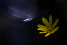 Meine Workshops