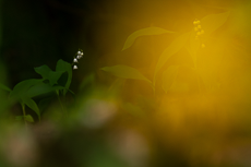 Meine Workshops