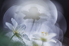Meine Workshops