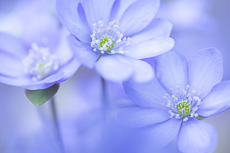 Meine Workshops