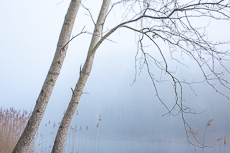 Meine Workshops